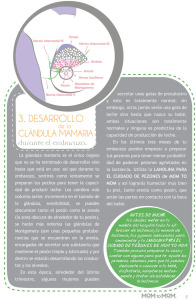 ManualLactancia_MtM_2015