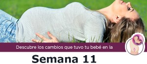 semana11_m
