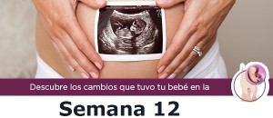 semana12_m
