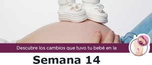 semana14_m