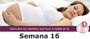 semana16_m