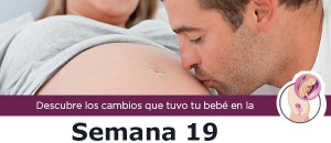 semana19_m