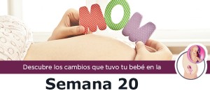 semana20_m