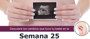 semana25_m