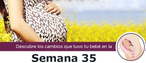 semana35_m