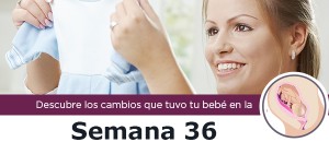 semana36_m