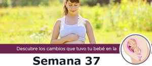 semana37_m