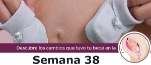 semana38_m