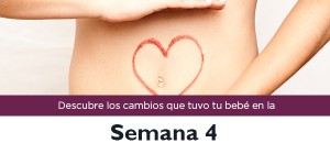 semana4_m