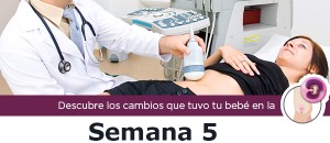 semana5_m