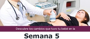 semana5_m