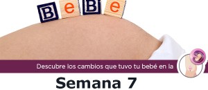 semana7_m