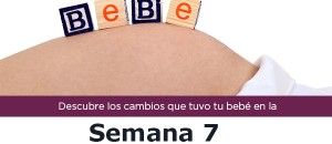 semana7_m