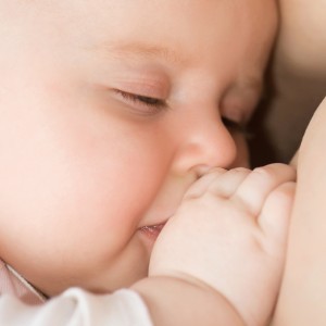lactando